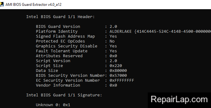 AMI BIOS Guard Extractor.png